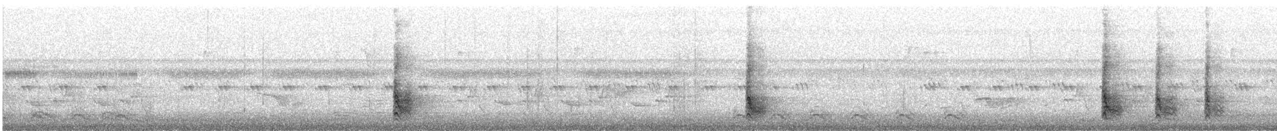 Red-bellied Woodpecker - ML613638998