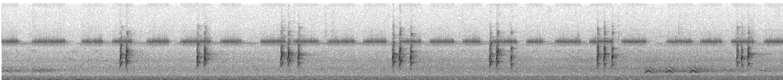 Carolina Wren - ML613639012