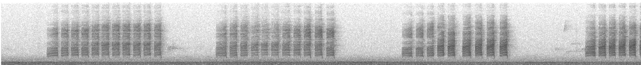 Carolina Wren - ML613639013