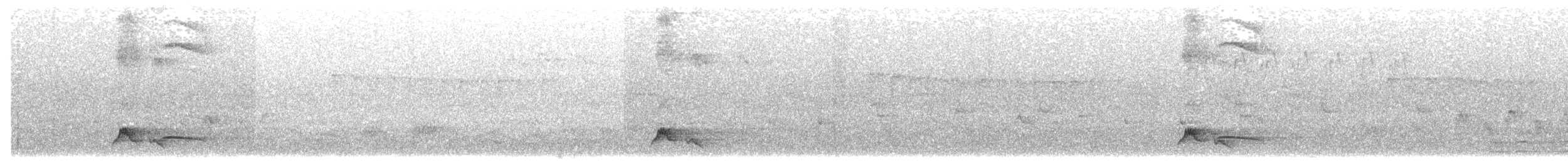 Black-streaked Scimitar-Babbler - ML613639463