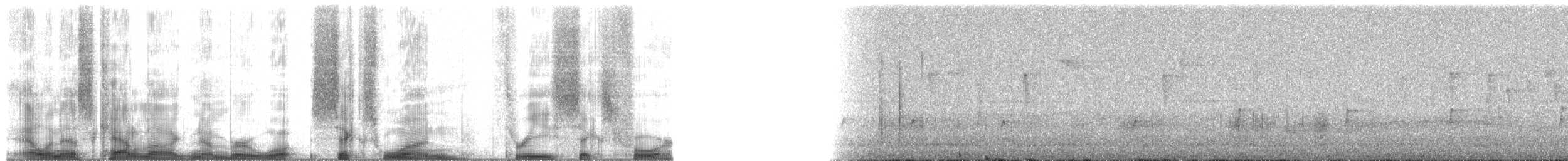 Ochre-rumped Antbird - ML61364