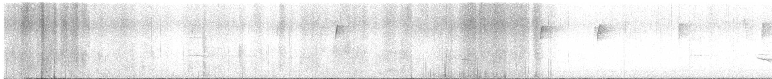 Дрізд-короткодзьоб плямистоволий - ML613643350