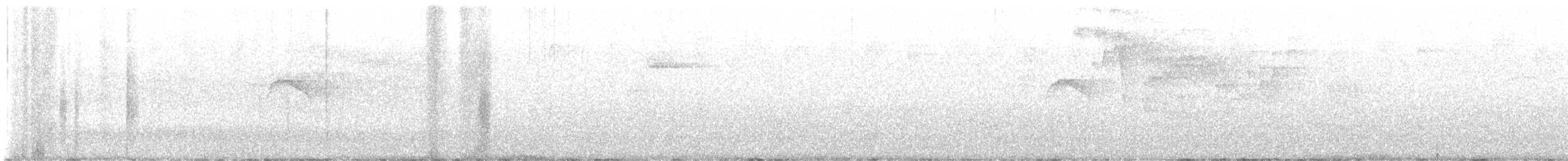 Тиран-крихітка білолобий - ML613649016