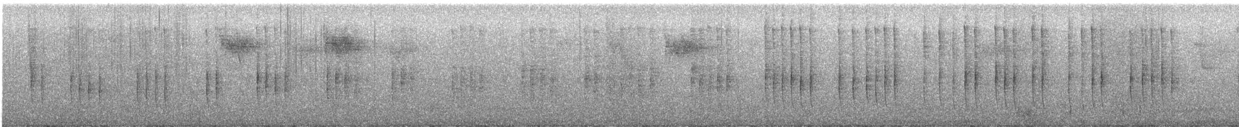 Белоухий колибри - ML613649202