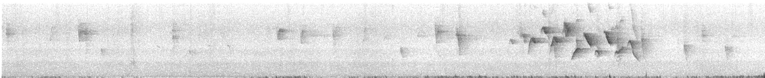 Northern/Mangrove Yellow Warbler - ML613649572