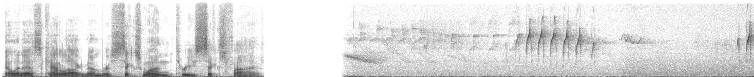 Streaked Xenops - ML61365