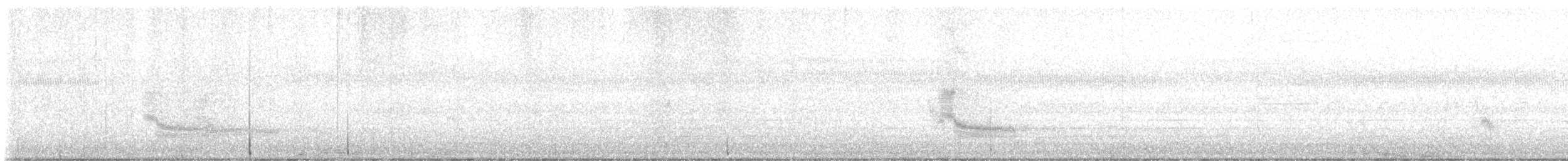 Вилохвістка плямиста - ML613650031