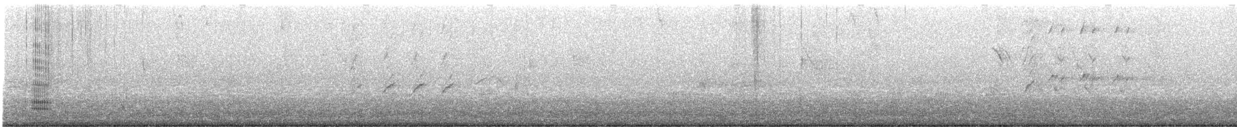 Neotropic Cormorant - ML613651144