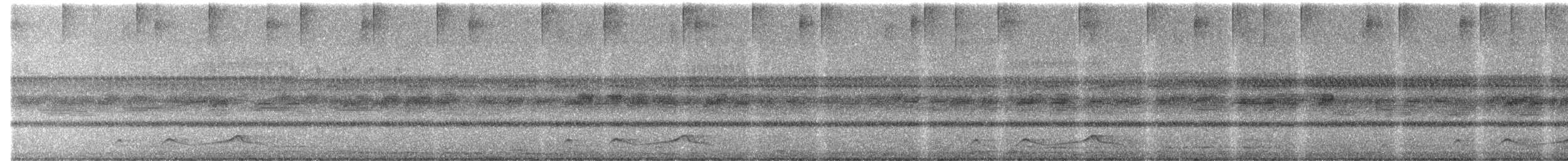 Belizenachtschwalbe - ML613658359