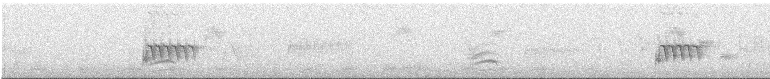 Тауї плямистий - ML613667431
