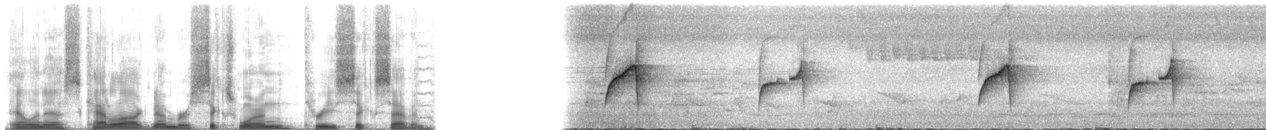 Gray-bellied Spinetail - ML61367