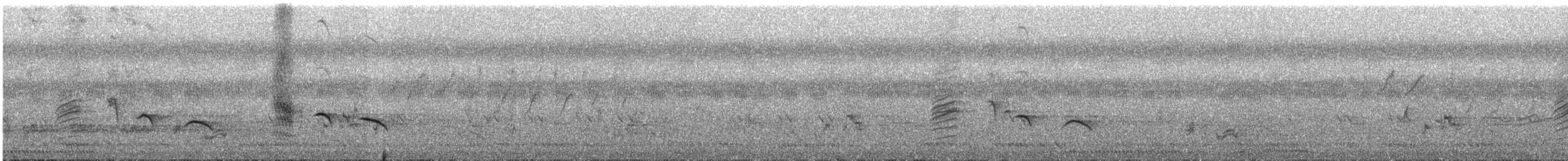 Черный дронго - ML613671900