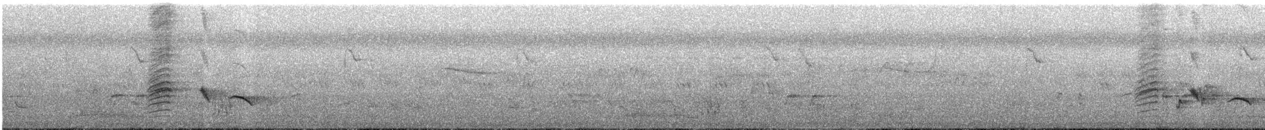 Черный дронго - ML613671911