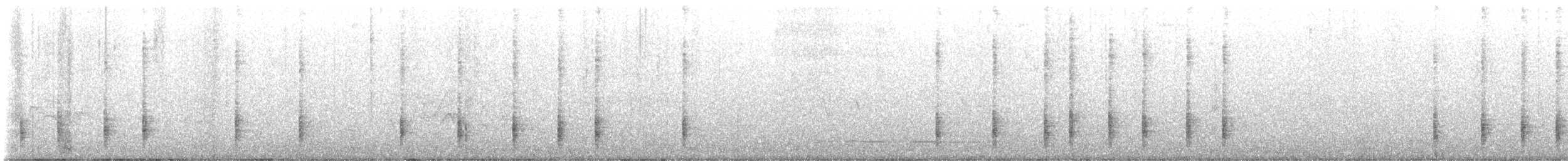 Tropical Boubou - ML613676524