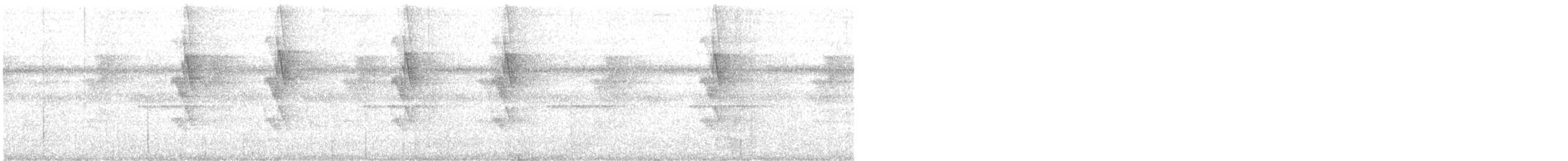 Усатый колибри-отшельник - ML613679690
