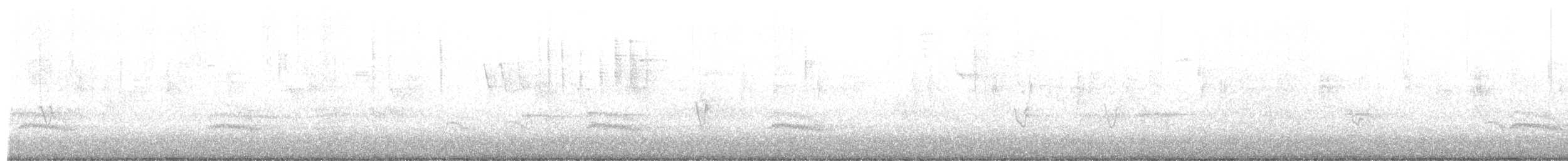 Weißbrustkleiber (aculeata/alexandrae) - ML613679843