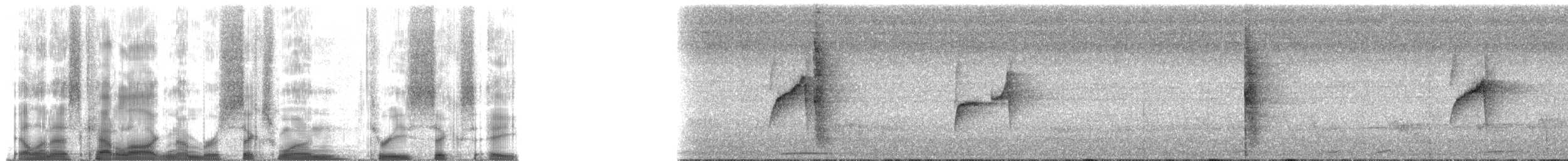 Rufous Gnateater - ML61368