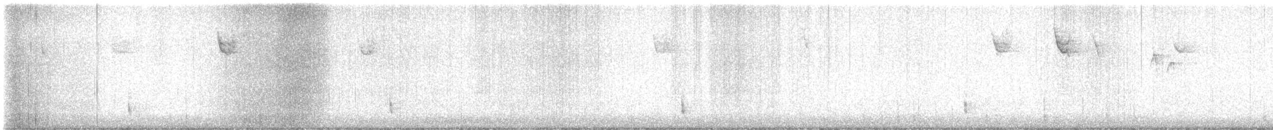 Дрізд-короткодзьоб плямистоволий - ML613682149