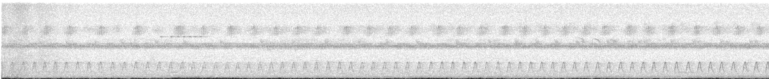 Slender-tailed Nightjar - ML613686880