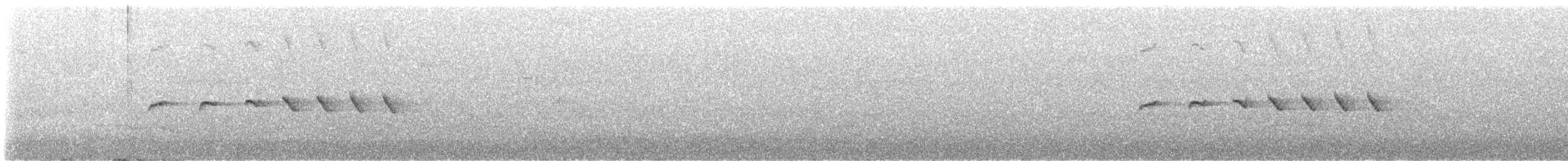 Grauscheitel-Ameisenvogel - ML613690144