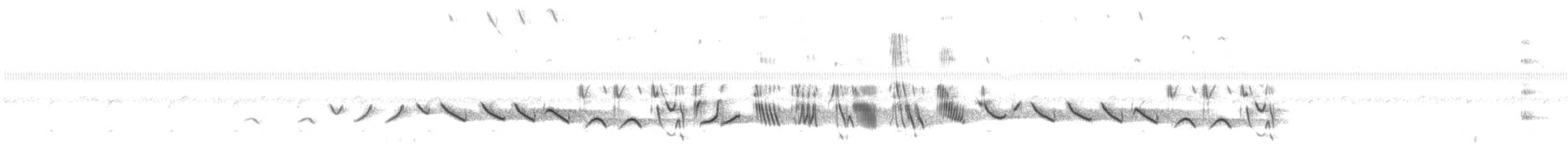 Sporophile curio - ML613690612