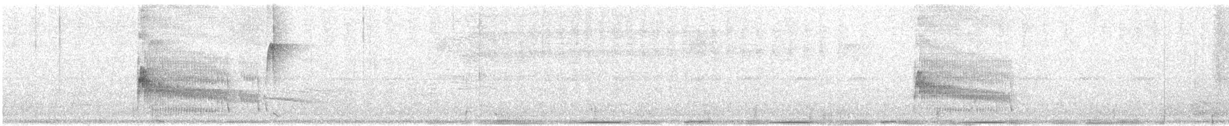 Мурав’янка-куцохвіст велика - ML613690686