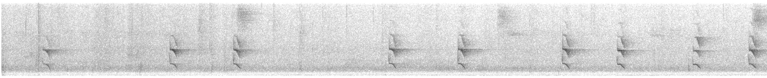 Weißflanken-Ameisenschlüpfer - ML613690750