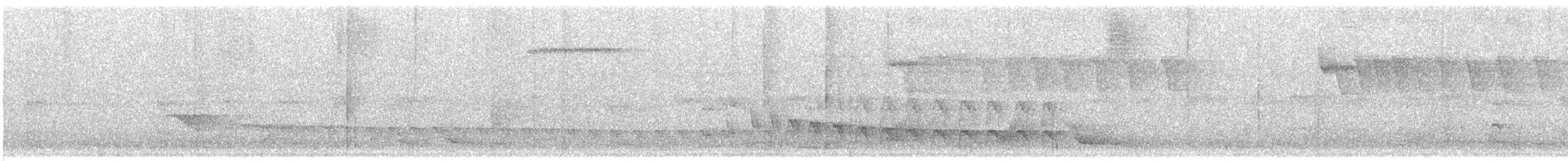 Weißflanken-Ameisenschlüpfer - ML613690751