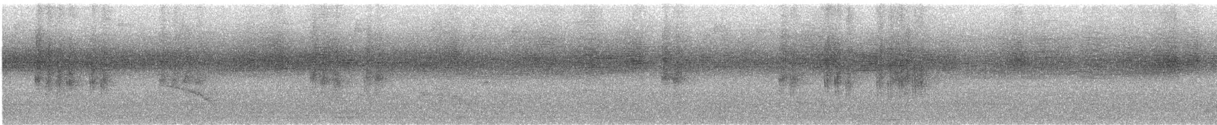 Dreibinden-Ameisenvogel - ML613696085