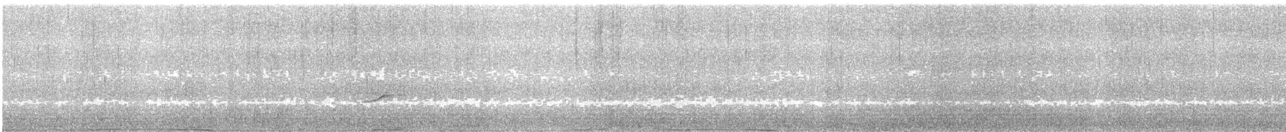 太平洋金斑鴴 - ML613702367