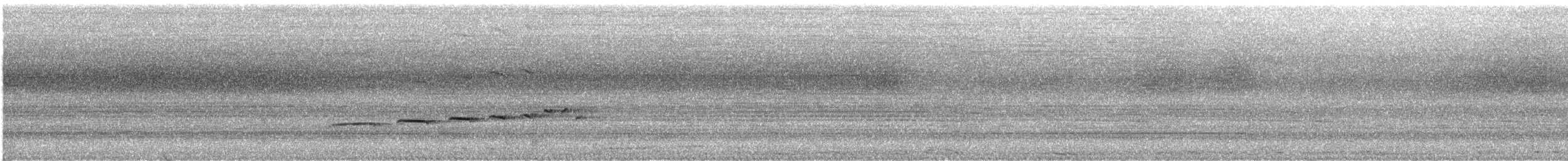 Güneyli Kestanerengi Karıncakuşu - ML613703928