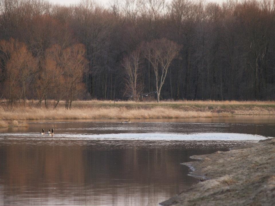 Canada Goose - Amanda & Matt Sloan