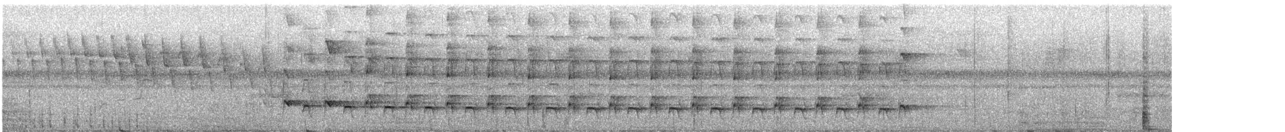 Starkschnabel-Baumsteiger - ML613704517