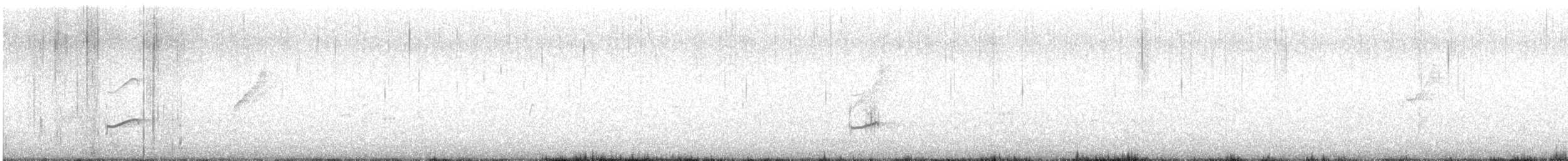 Gray-tailed Tattler - ML613706562