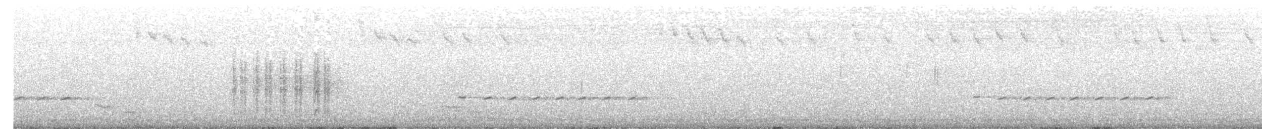 Королаз плямистобокий - ML613712453