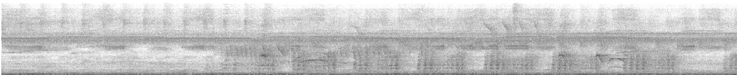 čačalaka kropenatá (ssp. remota) - ML613716205