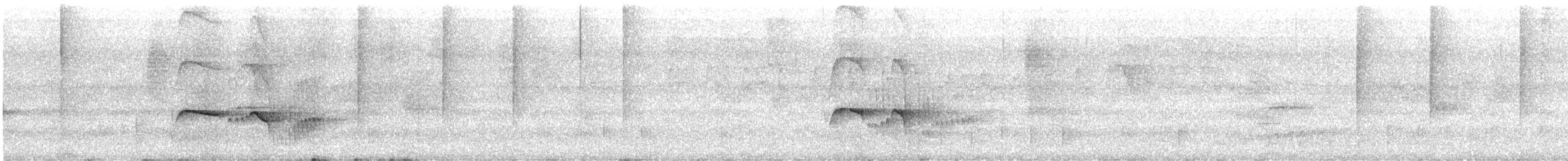 Atlantik Karınca Tiranı - ML613716231