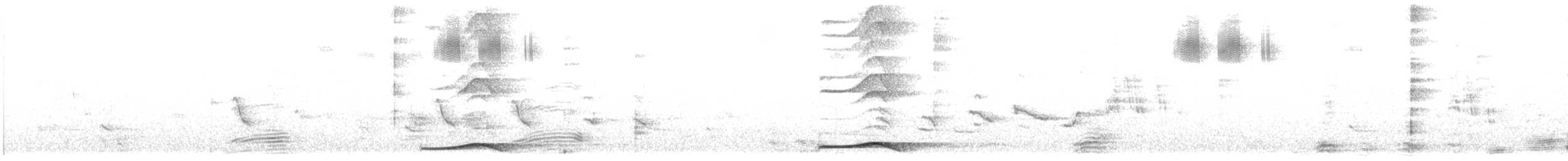 Asian Koel - ML613719271