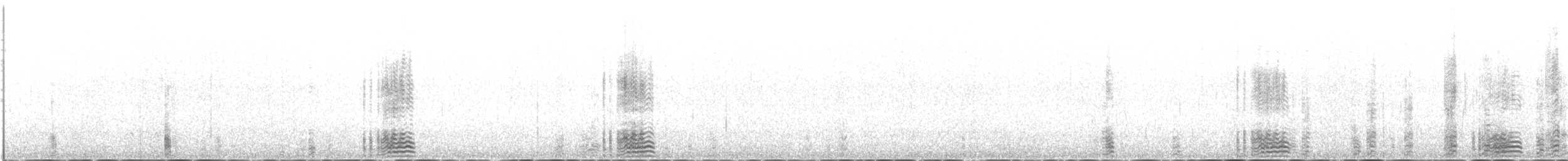 berneška tmavá (ssp. bernicla) - ML613720252