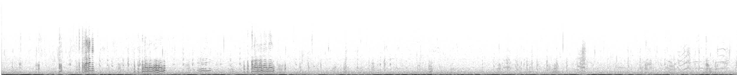 berneška tmavá (ssp. bernicla) - ML613720253
