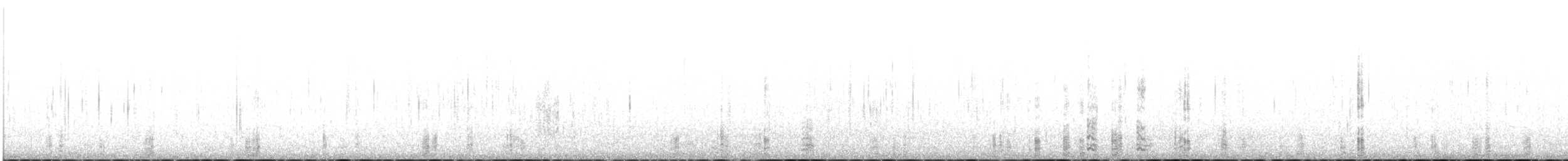 berneška tmavá (ssp. bernicla) - ML613720254