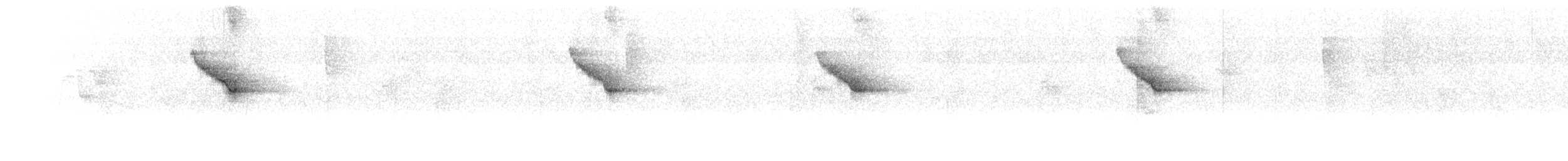 Веерохвостая корольковка - ML613720518