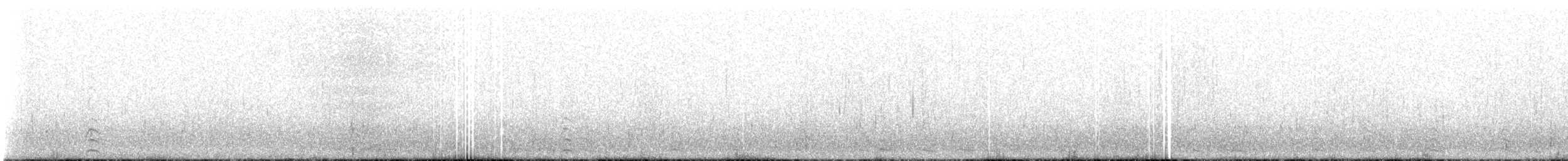 Black-necked Swan - ML613723496