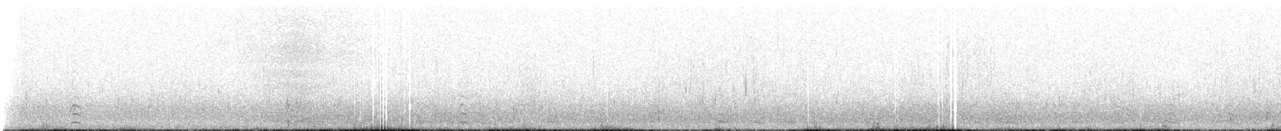 Cigno collonero - ML613723496