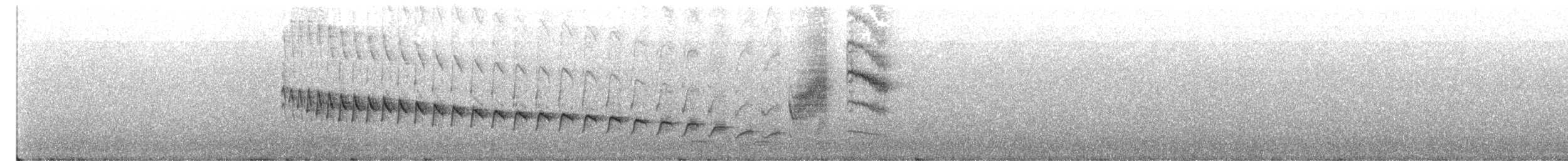 Troglodyte des canyons - ML613725151