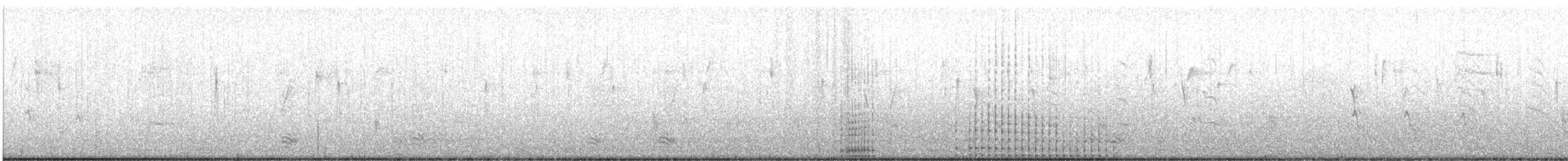 Kulaklı Karabatak - ML613725169