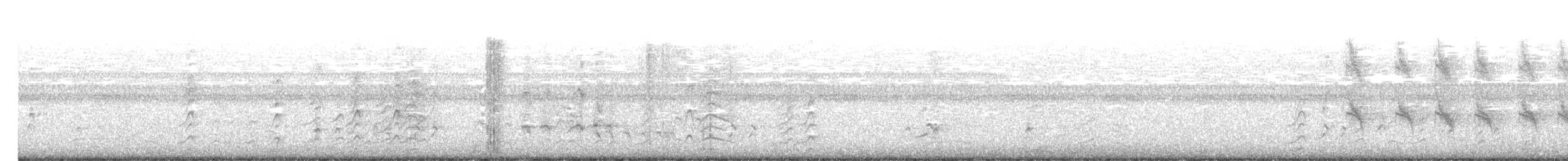 Kahverengi Islıkçı Ördek - ML613734190