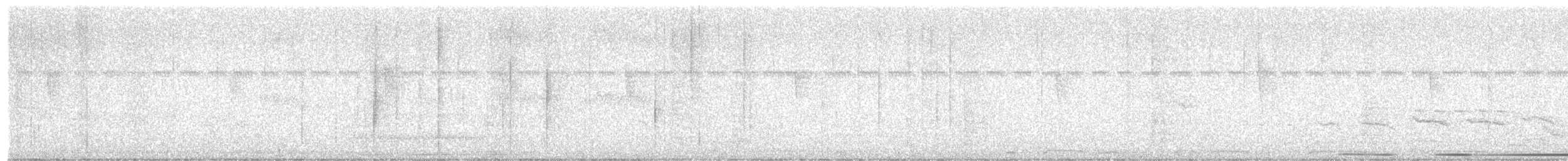 holub bledočelý - ML613735972