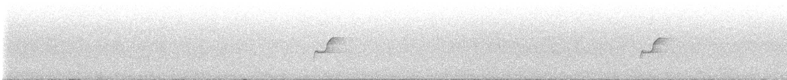 Western Flycatcher - ML613736269