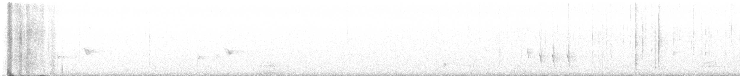 Шишкар ідагоський - ML613737303
